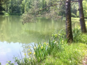 Aubachtalwanderung (15)