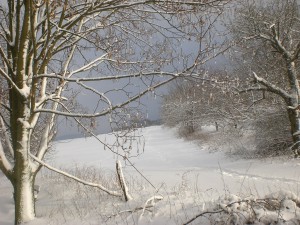 Winter in Kleinkahl Jan 2010 (17)