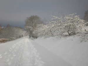 Winter in Kleinkahl Jan 2010 (23)
