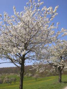 Hahnenkammwanderung (29)